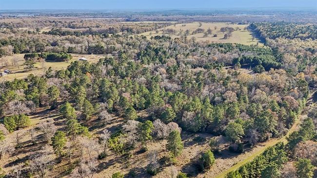 0 Bay Tree St, Home with 0 bedrooms, 0 bathrooms and null parking in Trinity TX | Image 7