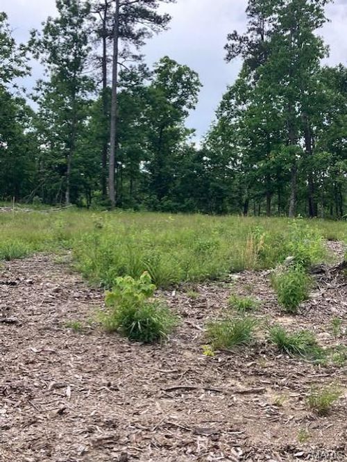 276 Madison Cr 410, Fredericktown, MO, 63645 | Card Image