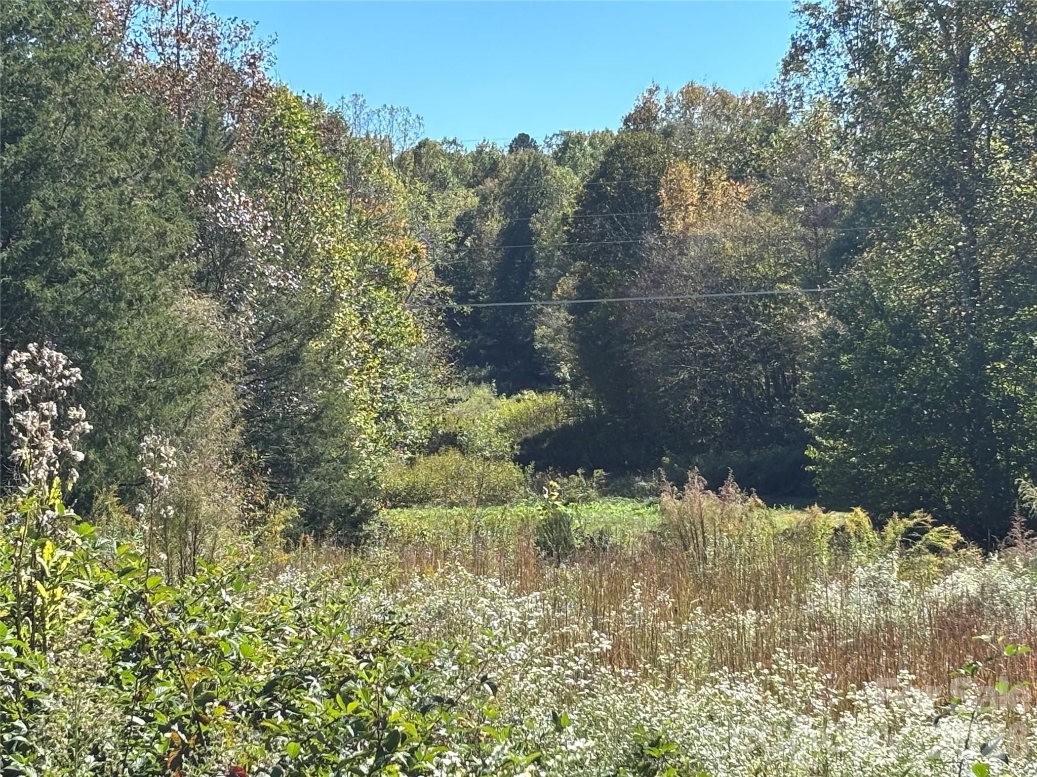 Land in Mooresville 5