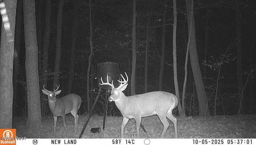 4, 5, 6, 7 Secluded Lake Road, Newfoundland, PA, 18445 | Card Image