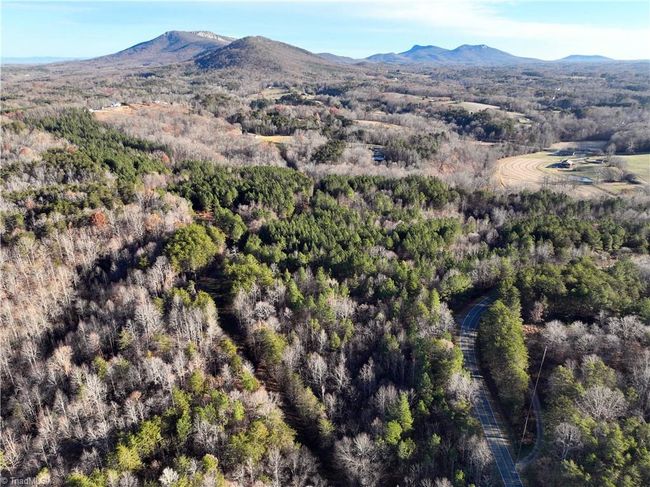 Lot 2- 0 Bowen Rd, Home with 0 bedrooms, 0 bathrooms and null parking in Pinnacle NC | Image 11