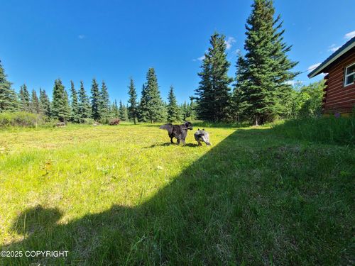 L11 B3 Tri Valley, Healy, AK, 99743 | Card Image