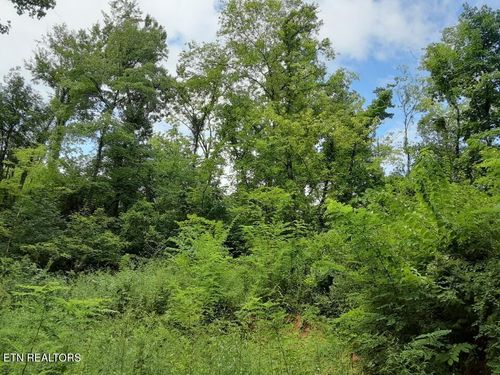 16-2036 Ridge Rd, Pigeon Forge, TN, 37863-7141 | Card Image
