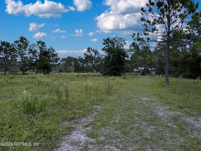 114 Osceola Rd, Home with 0 bedrooms, 0 bathrooms and null parking in GEORGETOWN FL | Image 14