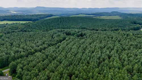TRACT 3 Back Valley Rd, Lyerly, GA, 30730 | Card Image