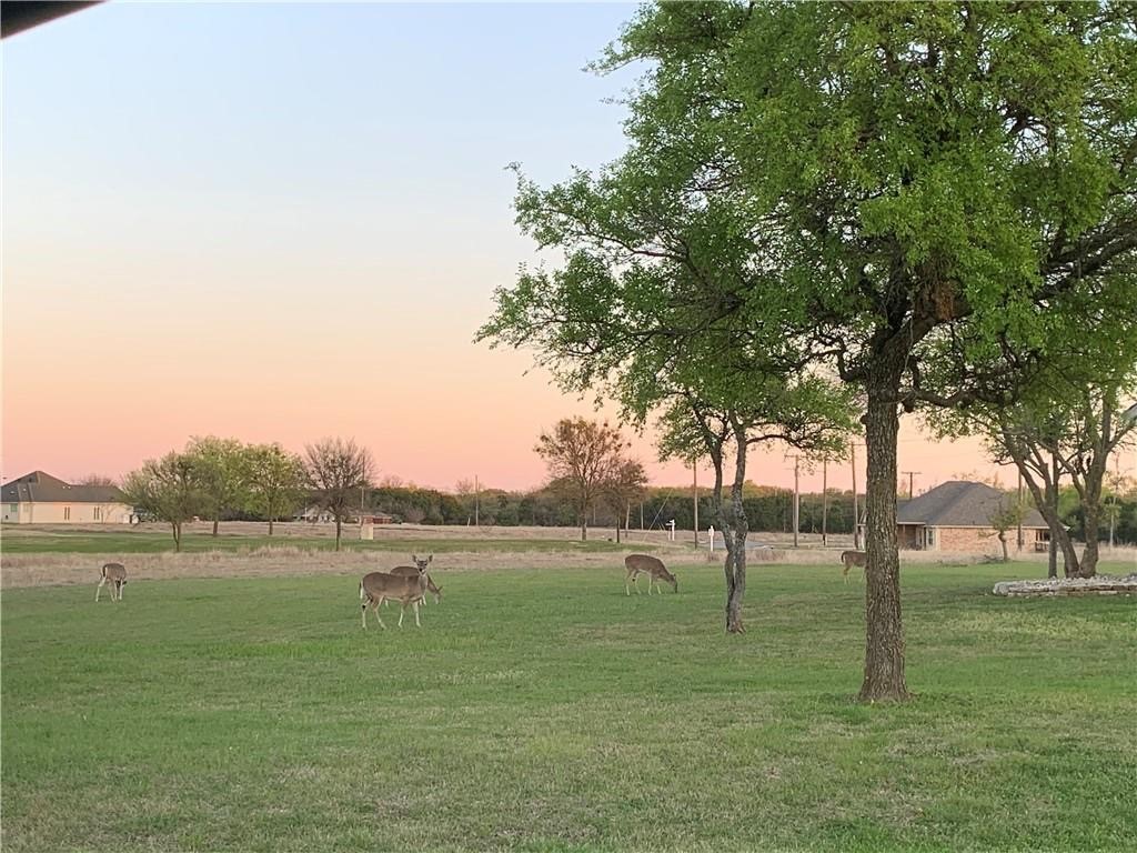 Land in Whitney 5