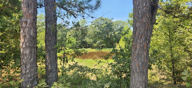 5253 S Research Rd, Home with 0 bedrooms, 0 bathrooms and null parking in Lane OK | Image 45