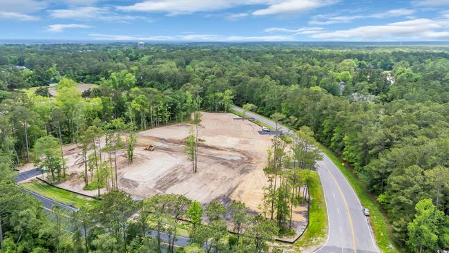 Aerial view featuring a view of trees | Image 16