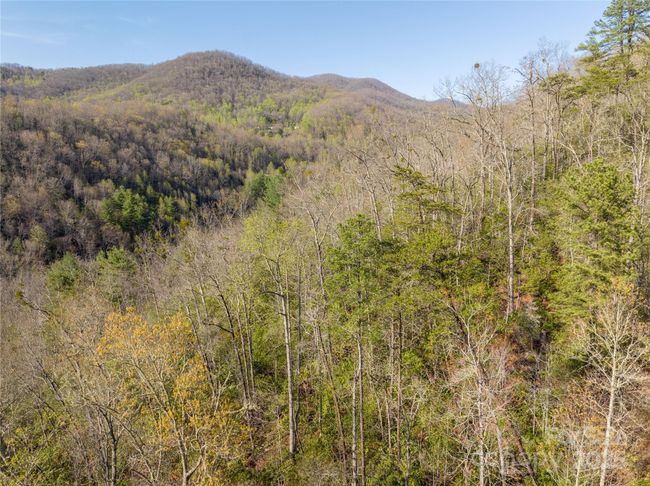 9999 Wayehutta Rd, Home with 0 bedrooms, 0 bathrooms and null parking in Cullowhee NC | Image 9