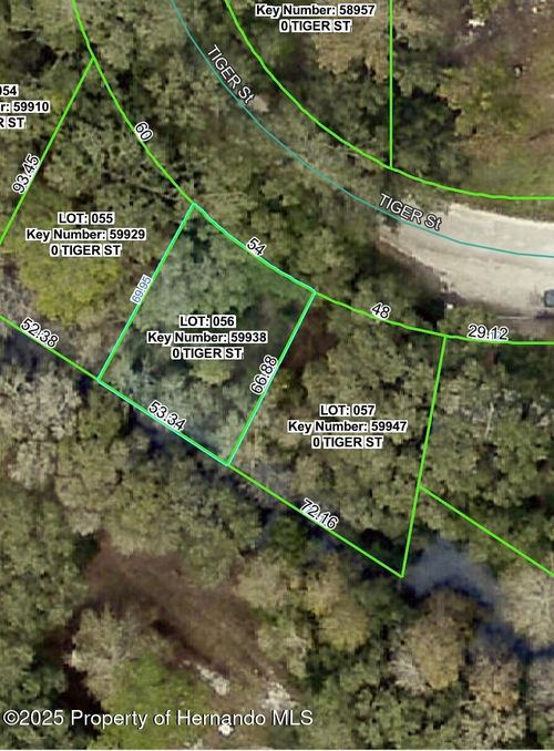 0 Tiger St, Dade City, FL, 33523 | Card Image