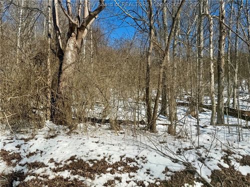 0 Newark Rd, Elizabeth, WV, 26143 | Card Image