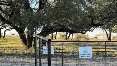 View of gate | Image 2