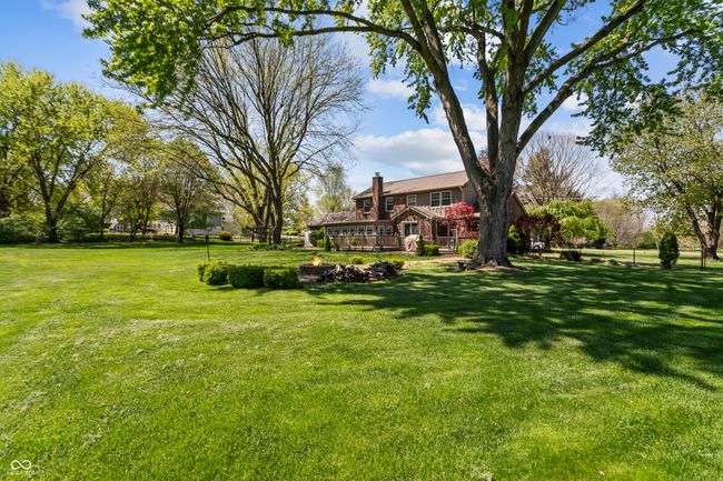 view of yard | Image 41