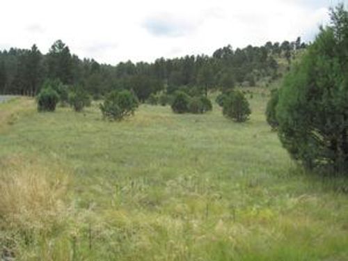 134 Deer Valley Dr, Alto, NM, 88312-8084 | Card Image