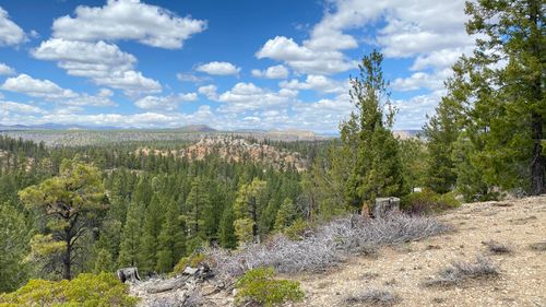 14 N. Royal Drive, Duck Creek, UT, 84762 | Card Image