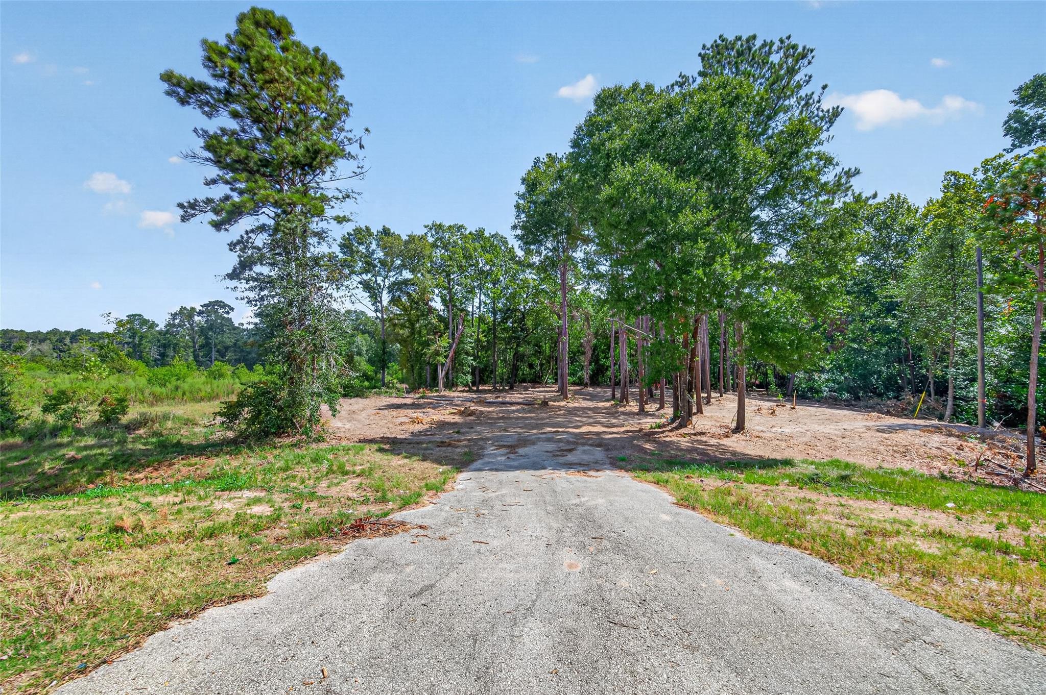 Land in Livingston 4