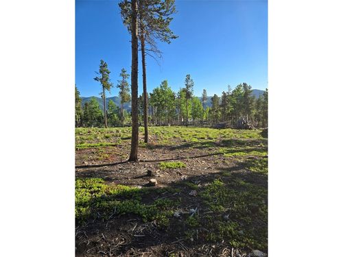 0 Frank C, Idaho Springs, CO, 80452 | Card Image