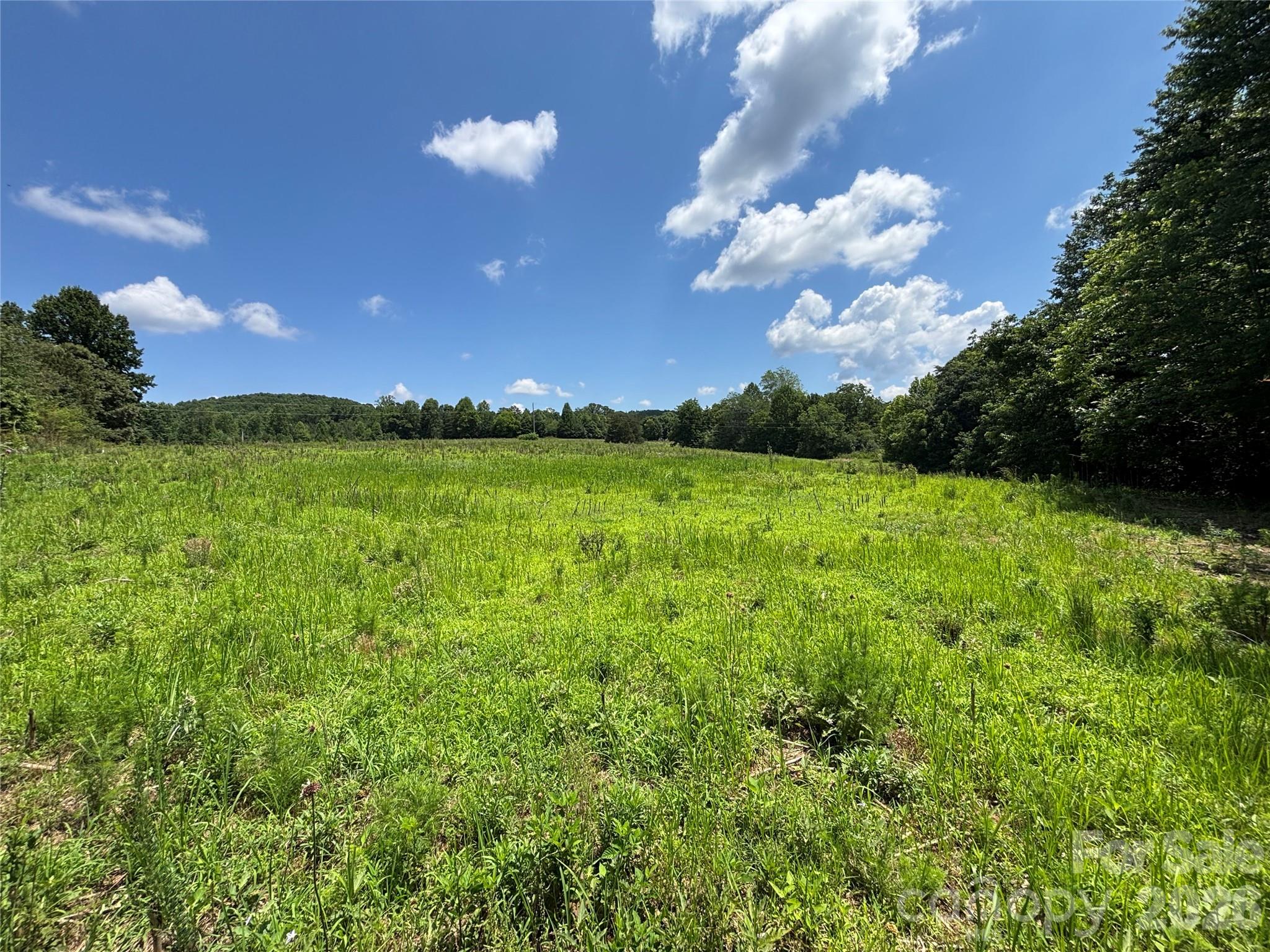 Land in Statesville 3