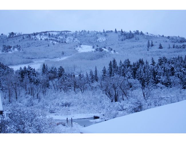 1 Boulder Dr, Home with 0 bedrooms, 4 bathrooms and null parking in Babb MT | Image 55