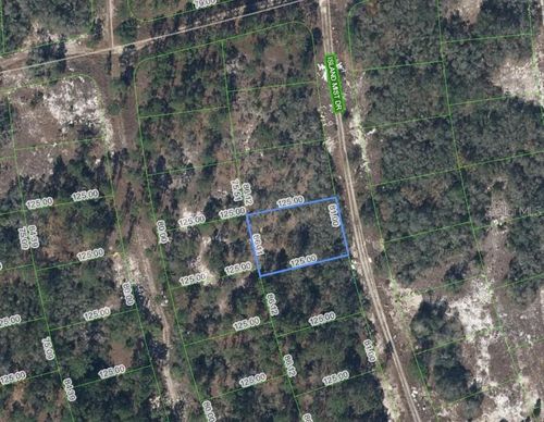 218 Island Mist Dr, LAKE PLACID, FL, 33852 | Card Image