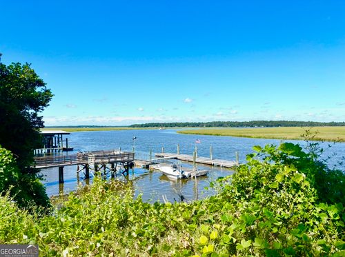 1334 Azalea Rd Ne, Townsend, GA, 31331-6115 | Card Image