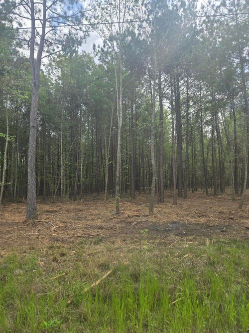 00 Whitestone Dr, Reevesville, SC, 29471 | Card Image