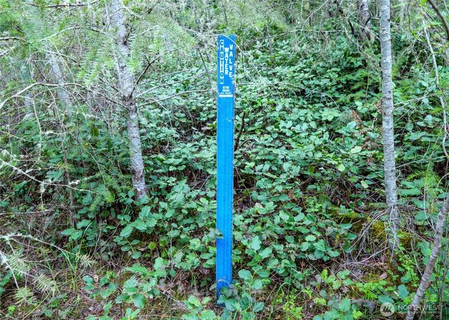 0 Discovery Ridge Rd, Home with 0 bedrooms, 0 bathrooms and null parking in Port Townsend WA | Image 28