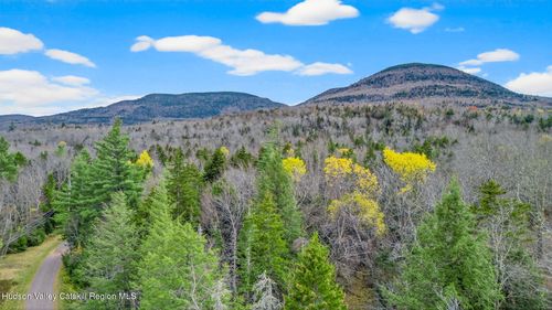 11 Corfu Rd, Elka Park, NY, 12427 | Card Image