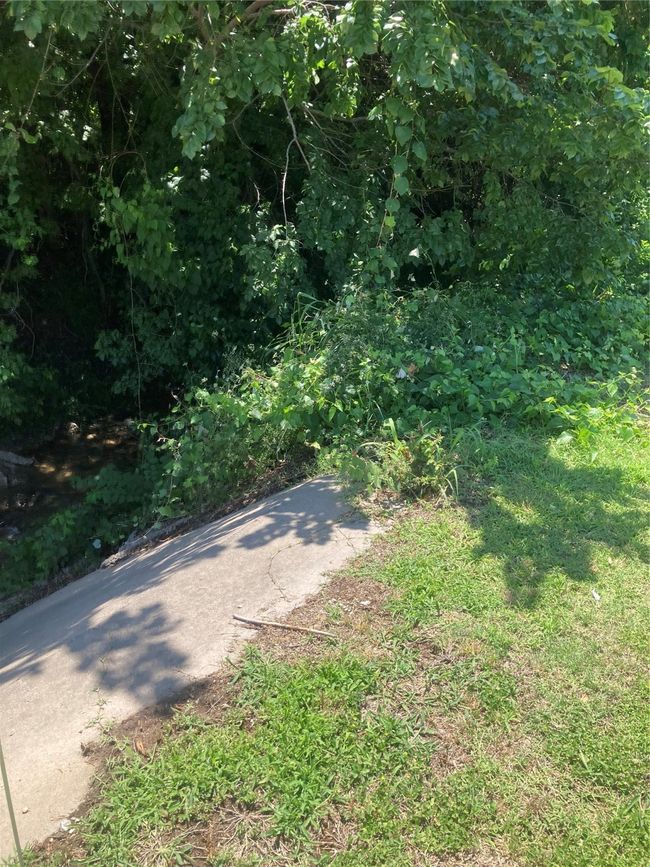 View of county owned culvert bulwark basically at street and driveway | Image 16