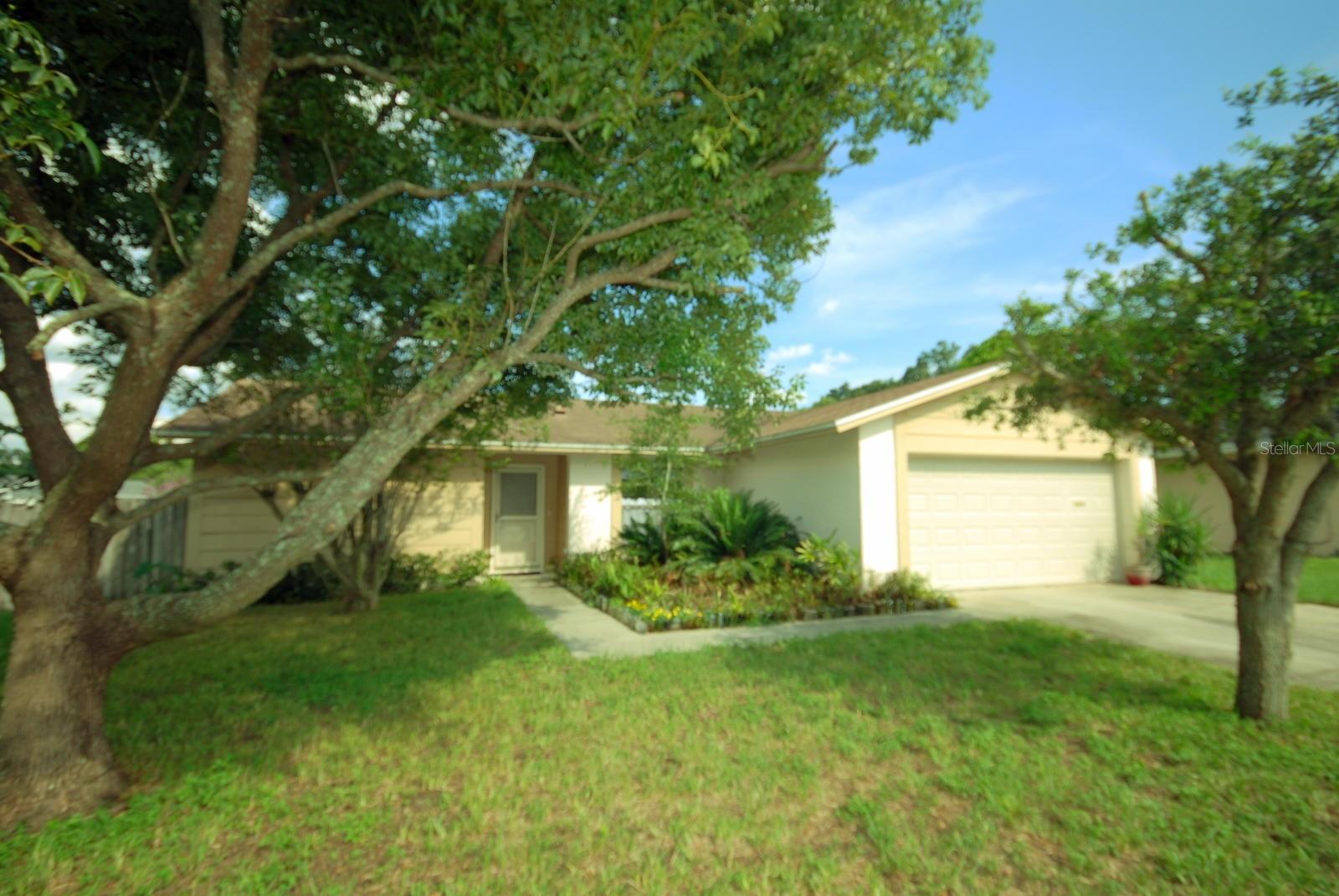 Bryan Terrace Dr, Brandon, FL 33511