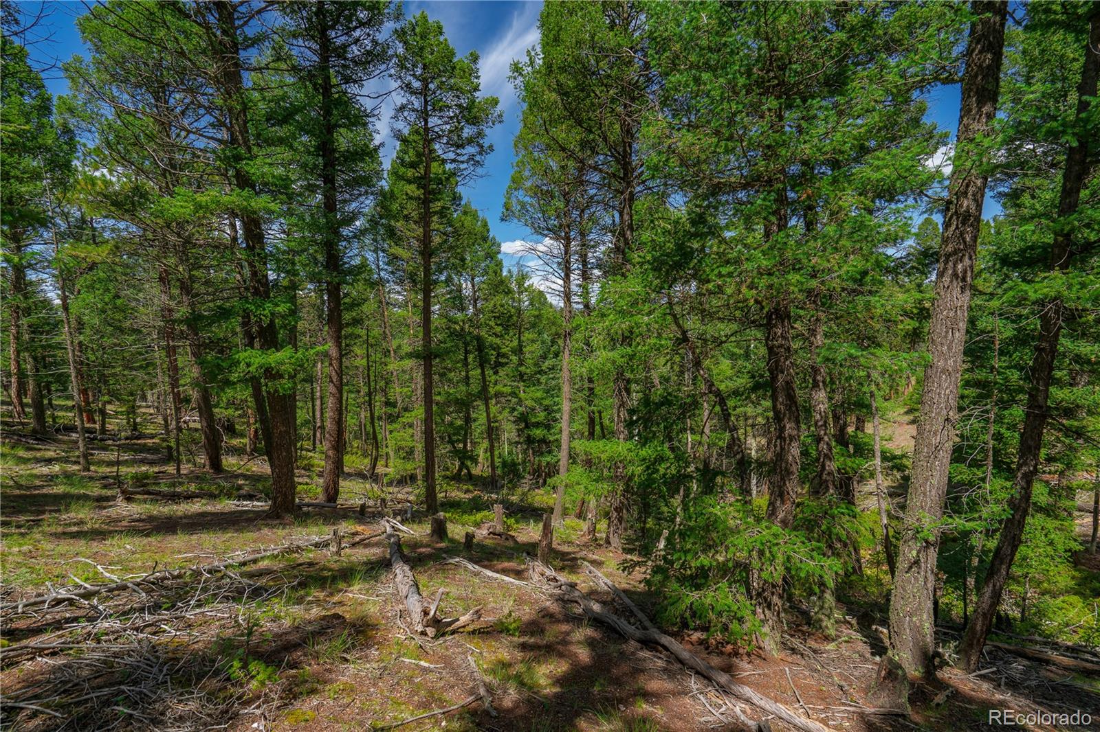 Land in Florissant 2