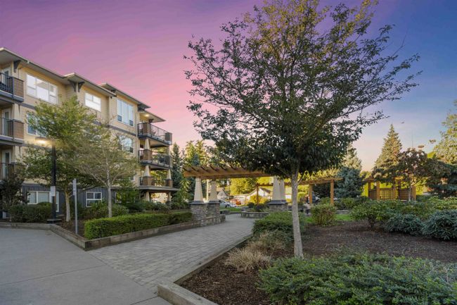 307 - 2565 Campbell Avenue, Condo with 1 bedrooms, 1 bathrooms and 1 parking in Abbotsford BC | Image 34