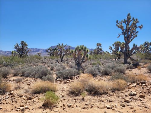 26776 N Yucca Rd, Meadview, AZ, 86444 | Card Image
