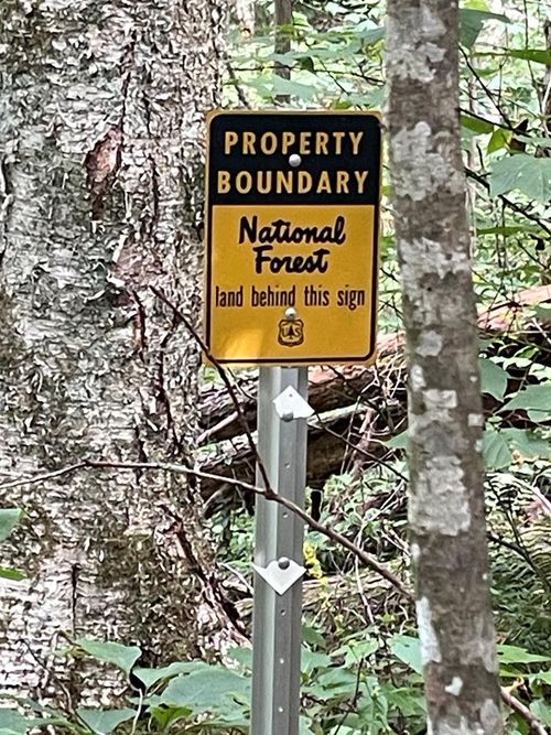 24 Old Faber Road Glen Hay, Topton, NC, 28781 | Card Image