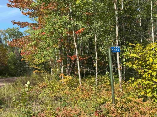 6827 Two Moose Tr, Finland, MN, 55603 | Card Image