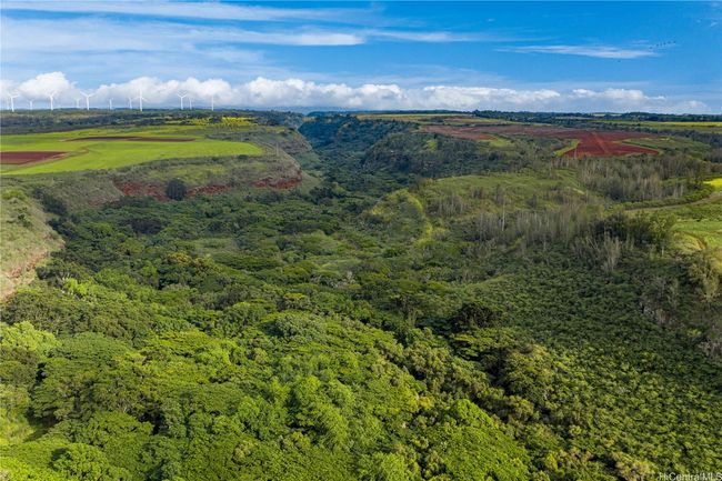 Located in Anahulu Valley. | Image 20