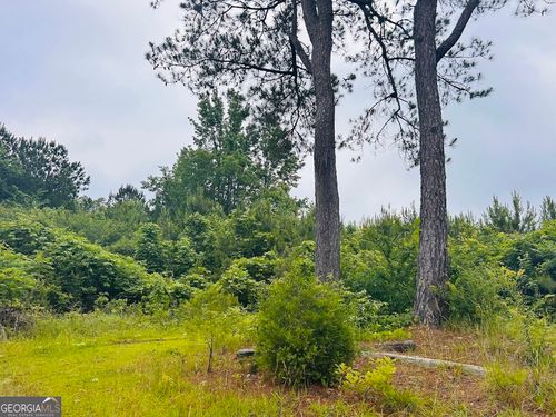 2485 Mitchellville Rd, Ohatchee, AL, 36271-5846 | Card Image