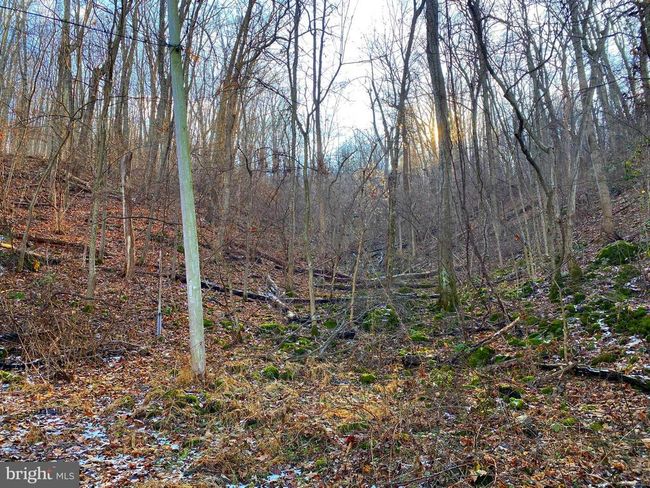 00 Hickory Tree Rd, Home with 0 bedrooms, 0 bathrooms and null parking in FRONT ROYAL VA | Image 16