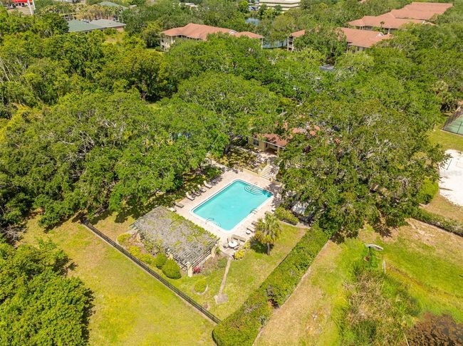 APT-112 - 2690 Coral Landings Blvd, Condo with 1 bedrooms, 1 bathrooms and null parking in PALM HARBOR FL | Image 49