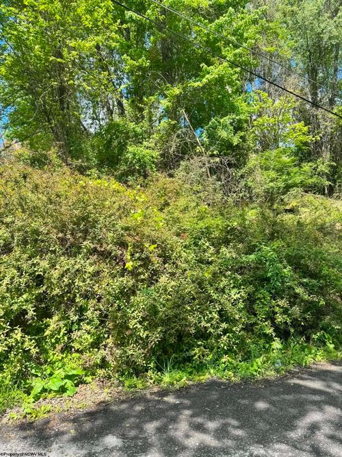 TBD Elkins Ave, Kingwood, WV, 26537 | Card Image
