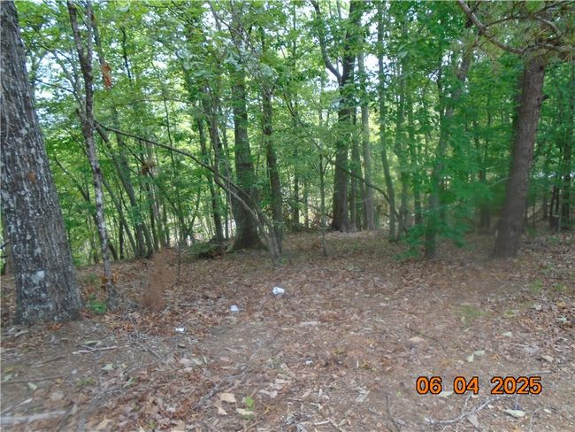 1000 E Cedar Creek Rd, Home with 0 bedrooms, 0 bathrooms and null parking in Sunset SC | Image 8