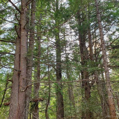 TBD Motley Road, Nisula, MI, 49952 | Card Image