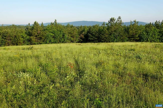 0 Garland Ln, Home with 0 bedrooms, 0 bathrooms and null parking in CHARLOTTESVILLE VA | Image 14