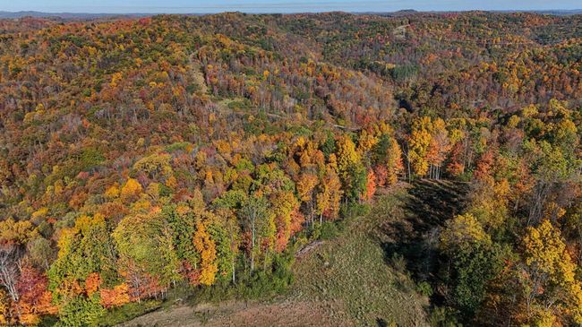 RT-2-WEST-RT-28 - TBD Nutters Fork Road, Home with 0 bedrooms, 0 bathrooms and null parking in West Union WV | Image 7