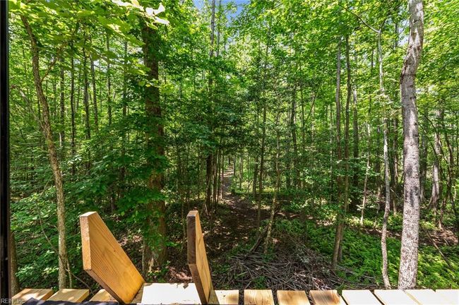 View from the raised hunting blind | Image 27
