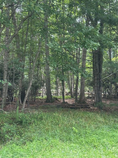 TBD Carsonville Rd., Independence, VA, 24348 | Card Image