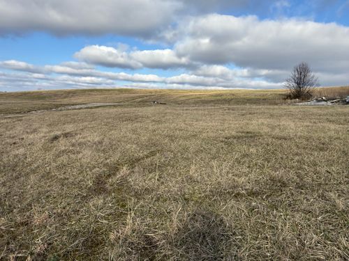 Lot 178 Thorntree Ln, Lawrenceburg, KY, 40342 | Card Image