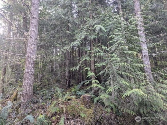 9999 Lone Tree Dr, Home with 0 bedrooms, 0 bathrooms and null parking in Sequim WA | Image 10