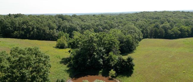 1194 Bailey Hollow Rd, House other with 3 bedrooms, 2 bathrooms and 6 parking in Erin TN | Image 8