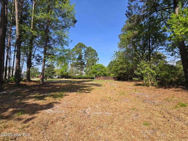 1254 Shenandoah St, Home with 0 bedrooms, 0 bathrooms and null parking in Wilmington NC | Image 22